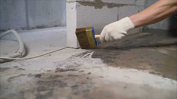Top rated local Basement Waterproofing specialists in Fairfax, SC